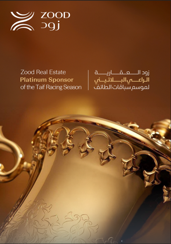 Sponsor Image